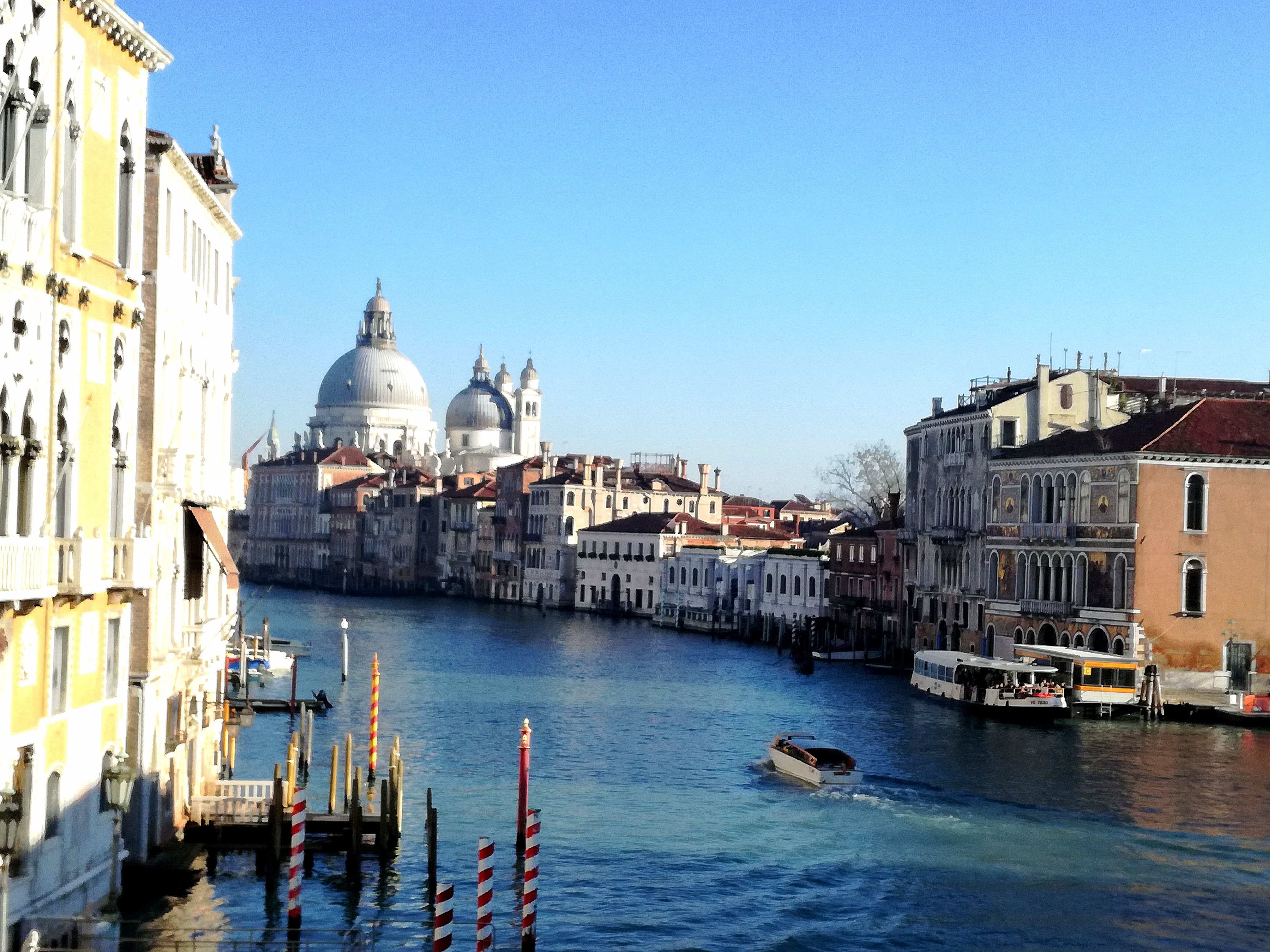 Vom veganen Topf bis zur Dinkelpizza – Unterwegs in Venedig